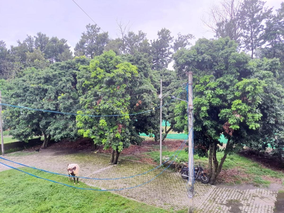 Nature View Homestay 데라둔 외부 사진